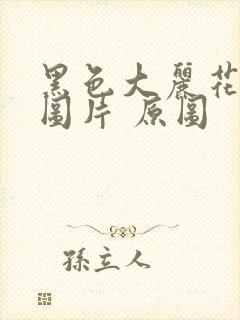 黑色大丽花真实图片 原图