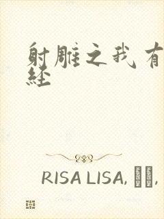 射雕之我有太玄经