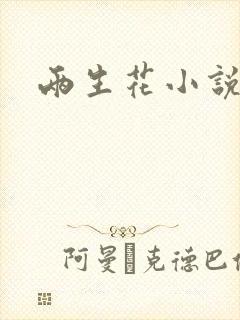 两生花小说