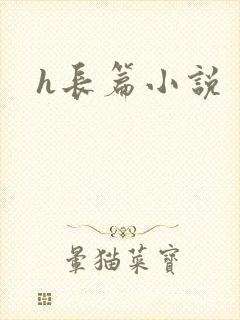 h长篇小说