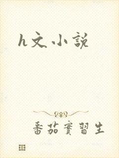 h文小说