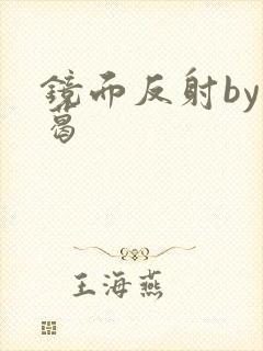 镜面反射by九葛