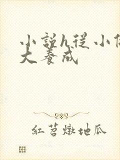 小说h从小做到大养成