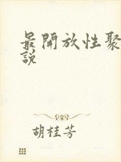 最开放性聚会小说