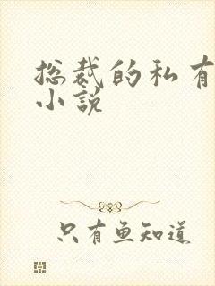 总裁的私有宝贝小说