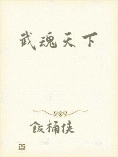 武魂天下
