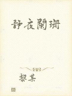 静夜阑珊