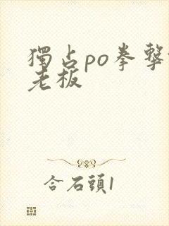 独占po拳击馆老板