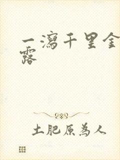 一泻千里金银花露