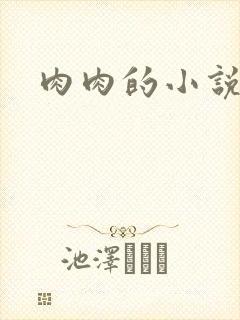 肉肉的小说