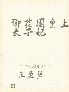 御花园皇上撞着太子妃