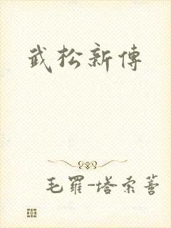 武松新传