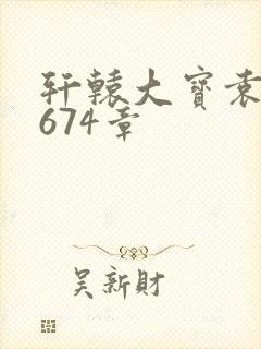 轩辕大宝袁雪妃674章