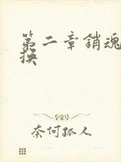 第二章销魂的交换