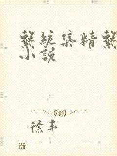 系统集精系统 小说