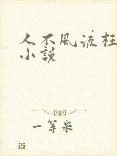 人不风流枉少年小说