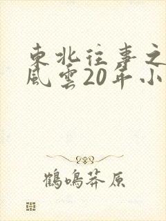 东北往事之黑道风云20年小说