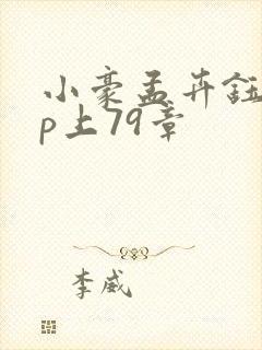 小豪孟卉钰慧三p上79章