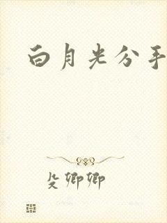 白月光分手日常