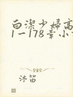 白洁少妇高义第1一178章小说
