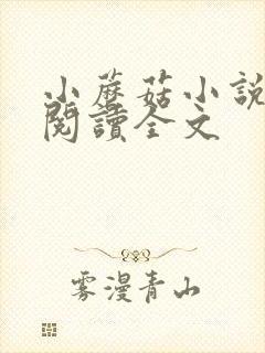 小蘑菇小说免费阅读全文