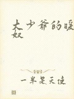 大少爷的暖床小奴