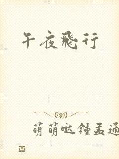 午夜飞行