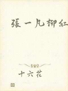 张一凡柳红