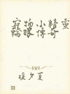 宠物小精灵之写轮眼传奇