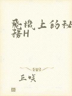 飞机上的秘密服务H