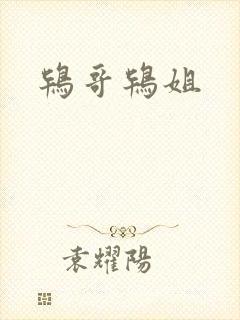 鸨哥鸨姐