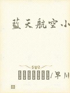 蓝天航空小说