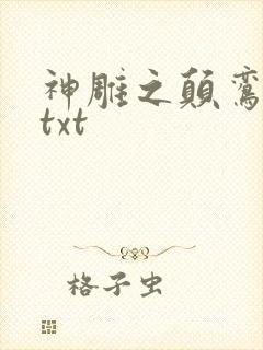 神雕之颠鸾倒凤txt