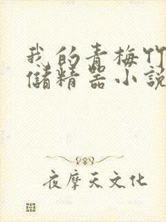 我的青梅竹马是储精器小说