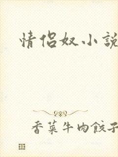 情侣奴小说