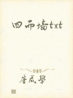 四面墙txt