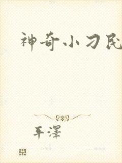 神奇小刁民