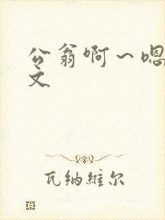 公翁啊～嗯啊h文