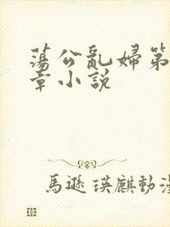 荡公乱妇第51章小说