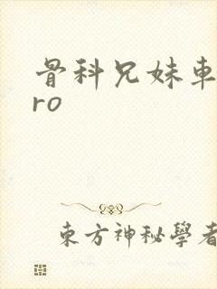 骨科兄妹车多pro