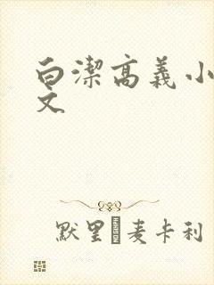 白洁高义小说全文