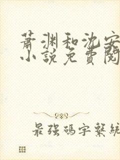 萧渊和沈安安的小说免费阅读