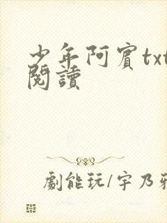 少年阿宾txt阅读