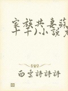 家族共妻苏苏(十千)小说免费