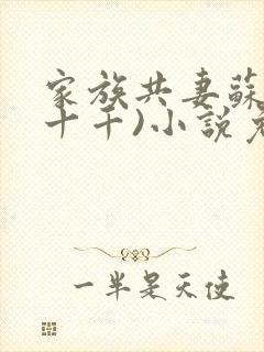 家族共妻苏苏(十千)小说免费