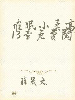 催眠小柔高达第13章免费阅读