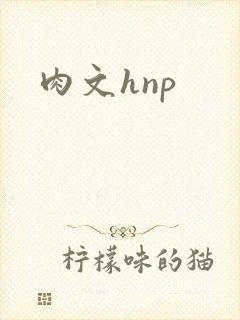 肉文hnp