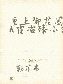 皇上御花园hlh霍冶臻小说