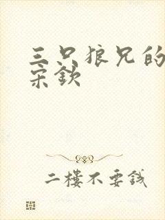 三只狼兄的宠妻宋钦