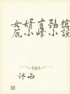 女婿有劲枪枪到底小峰小说